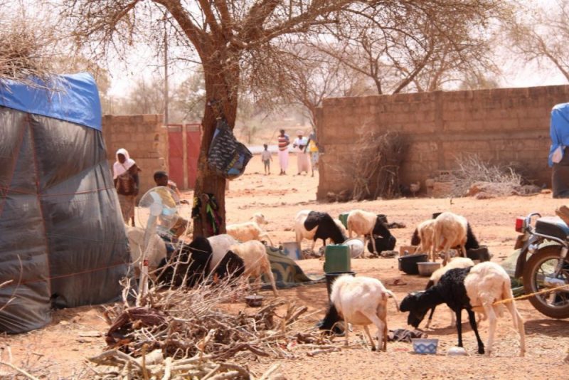 Desplazados internos en Kaya, Burkina Faso. (ACN).