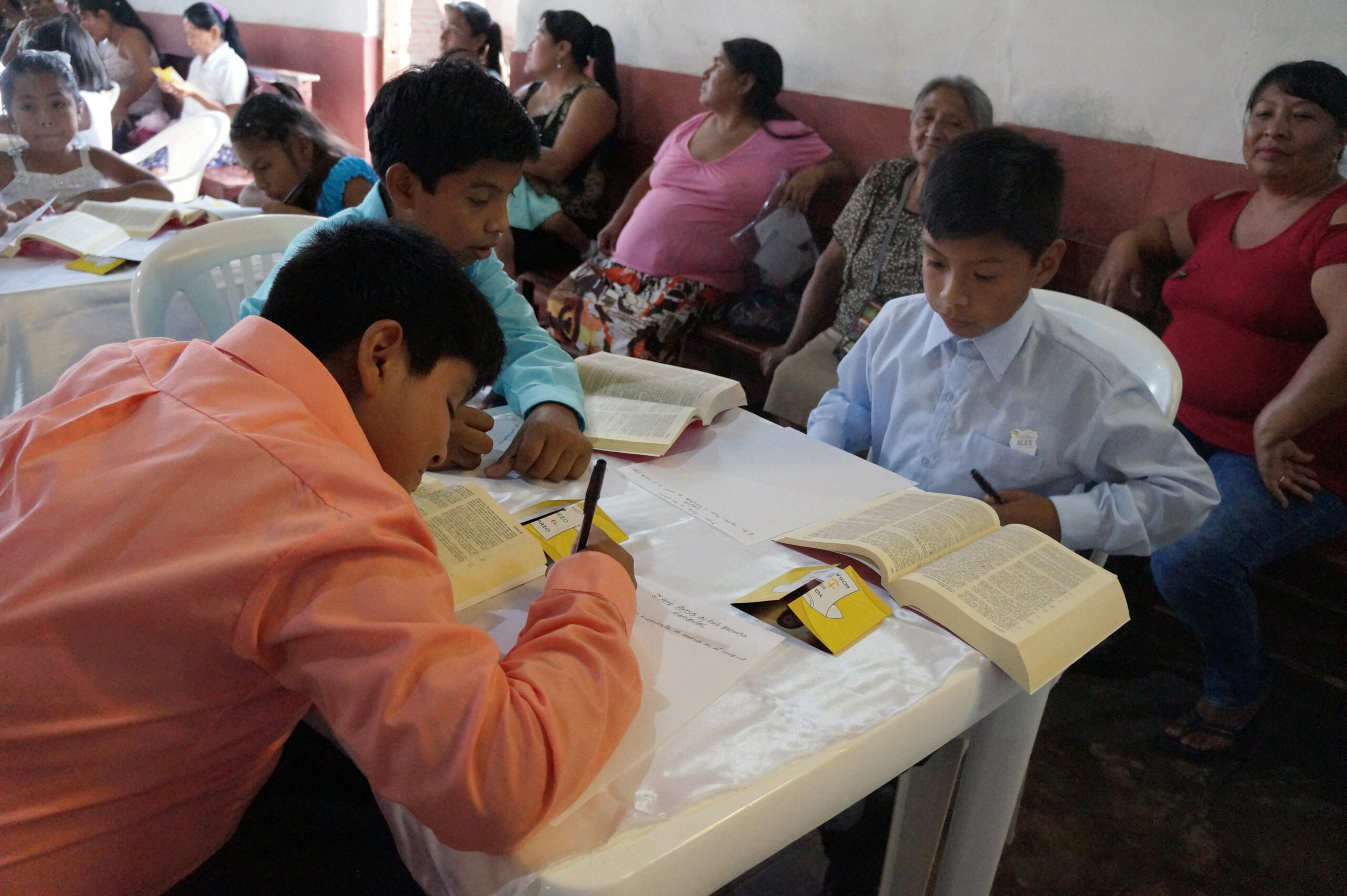 Shipment of 3.700 copies of the Latinoamerican Bible