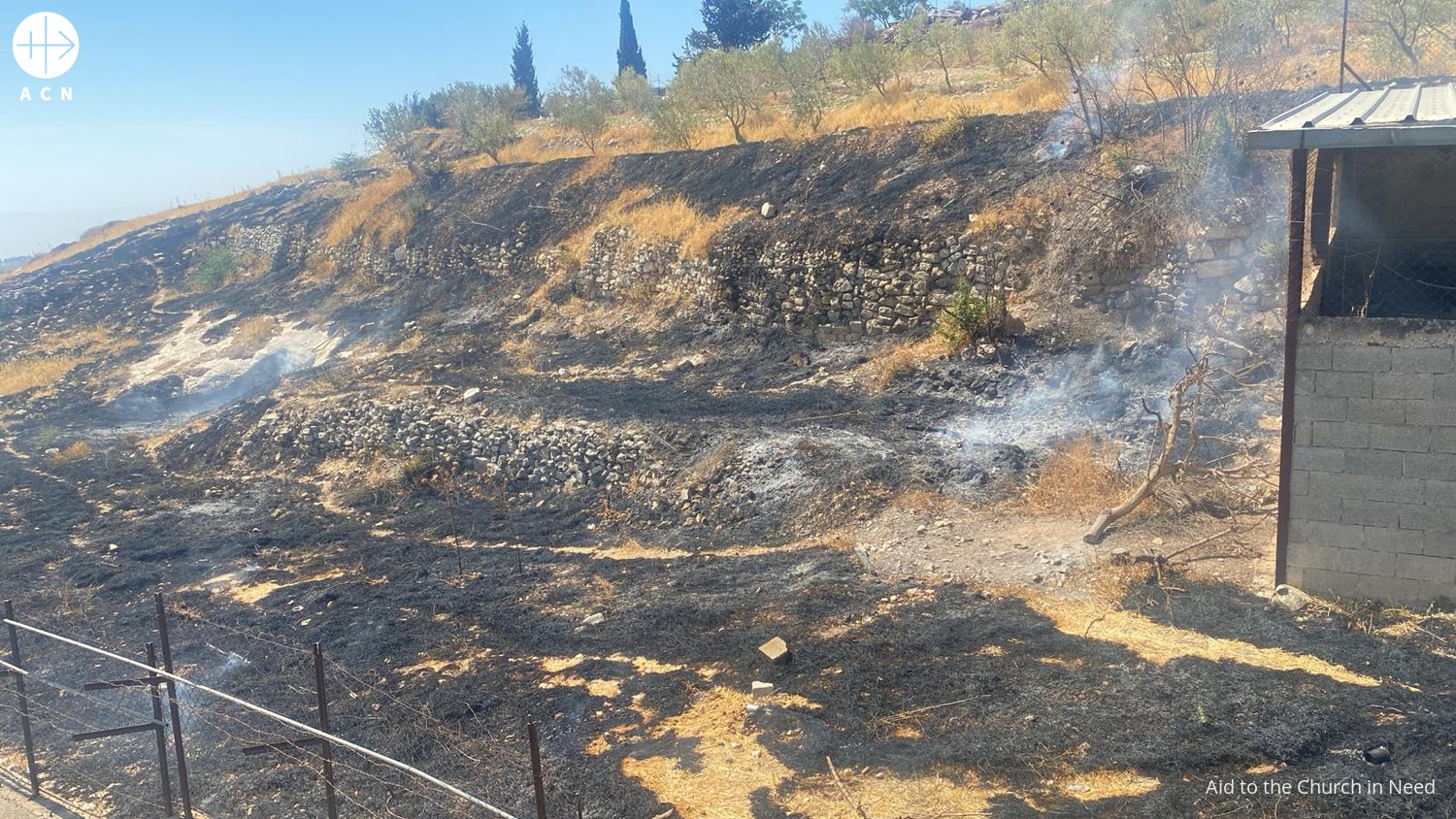 Campo incendiado en Taybeh (Cisjordania) tras ataques de colonos israelíes extremistas el 7 de julio de 2025