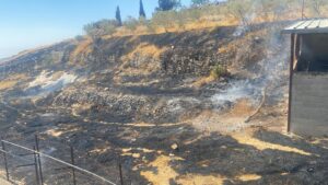 Incendio tras los ataques de colonos israelíes radicales en la ciudad cristiana de Taybeh (Cisjordania)