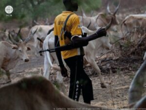 Pastor fulani en Nigeria. © Catholic Secretariat of Nigeria (CSN) Directorate of Social Communications