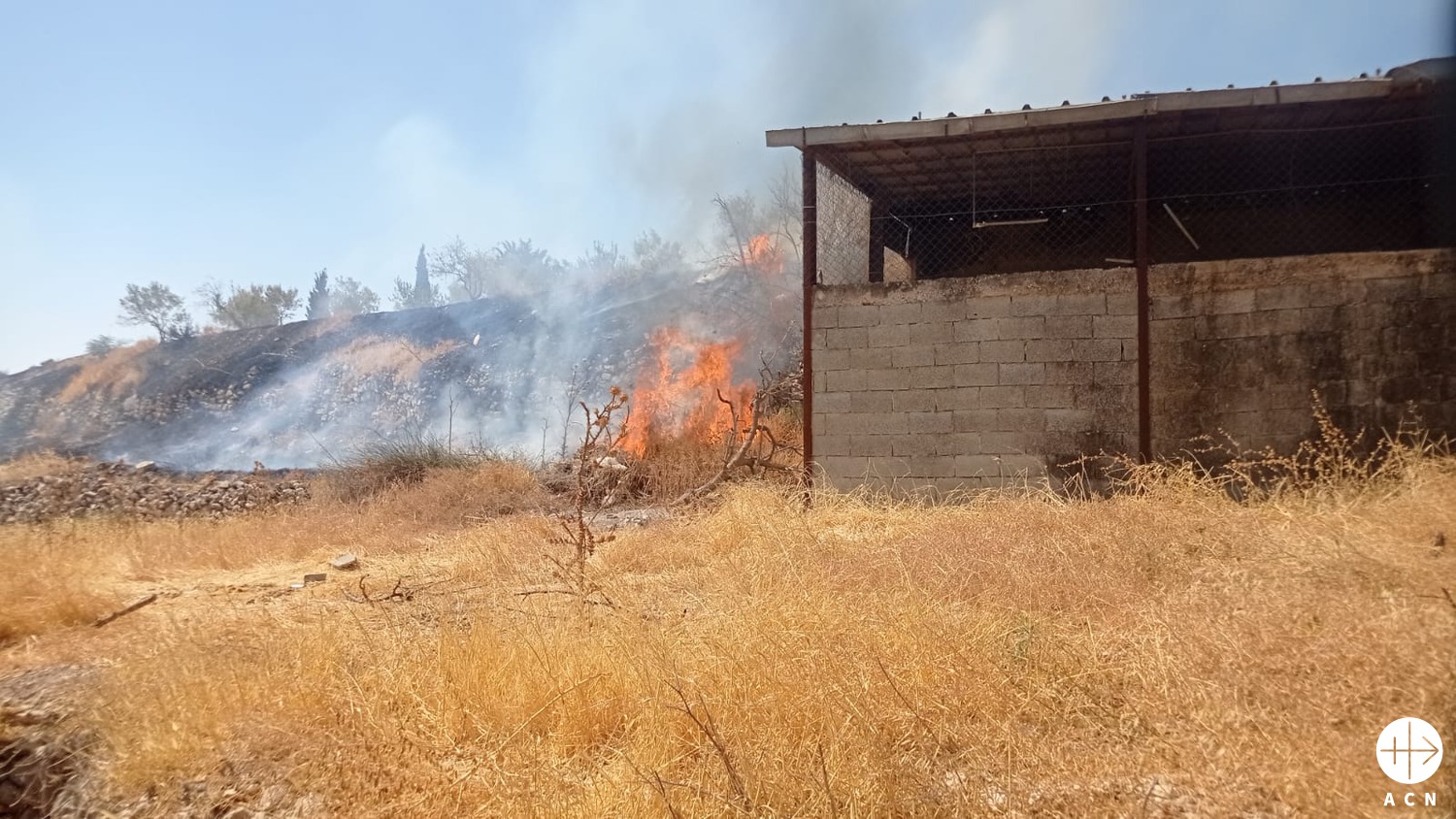 Incendios provocados por colonos israelíes en Taybeh. (ACN)