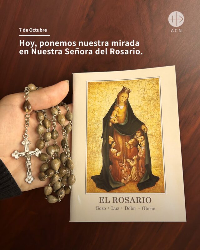 Celebramos a Nuestra Señora del Rosario. ❤️📿Durante estos días, hemos unido nuestras oraciones por quienes más necesitan nuestra ayuda.
Hoy ponemos todas estas intenciones en manos de María. Le pedimos que las lleve ante su Hijo y que, por su intercesión, llegue la paz a quienes más la necesitan.✝️🙏 Que cada Avemaría sea una oración por la paz, por la unidad y por la Iglesia que sufre.
👉 Comenta “Rosario” y te mandaremos por mensaje privado el material para rezar.