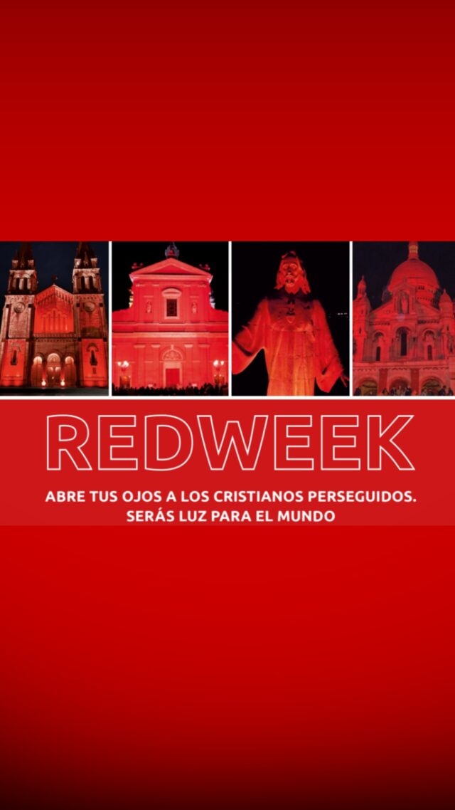 🔴 Es el momento de iluminar de rojo España por los cristianos perseguidos en todo el mundo. No podemos seguir mirando hacia otro lado🔴Del 16 al 22 de noviembre, España se une a la #REDWEEK2026
de Ayuda a la Iglesia Necesitada para dar voz a quienes sufren en silencio y
defienden el derecho fundamental a la libertad religiosa.🏛️✨Catedrales, monumentos y parroquias por todo el país se iluminarán de rojo
—el color de la sangre de los mártires— para recordar a la Iglesia que sufre en
tantos rincones del planeta.El 18 de noviembre (#RedWednesday) será nuestro día central, pero la
misión nos involucra a todos durante toda la semana:
📖Informa y descubre historias reales de fe, valentía y perdón.🙏Reza por los cristianos que hoy no pueden vivir su fe en libertad.🔴Une a tu parroquia, colegio o ciudad iluminando tu entorno de rojo.¿Quieres saber qué edificios se iluminarán en tu ciudad o cómo hacer que tu
comunidad participe?
👉Descubre todos los detalles, testimonios y el mapa de eventos comentando "REDWEEK" y te mandamos la información por mensaje privado
Colabora: @acdp_es