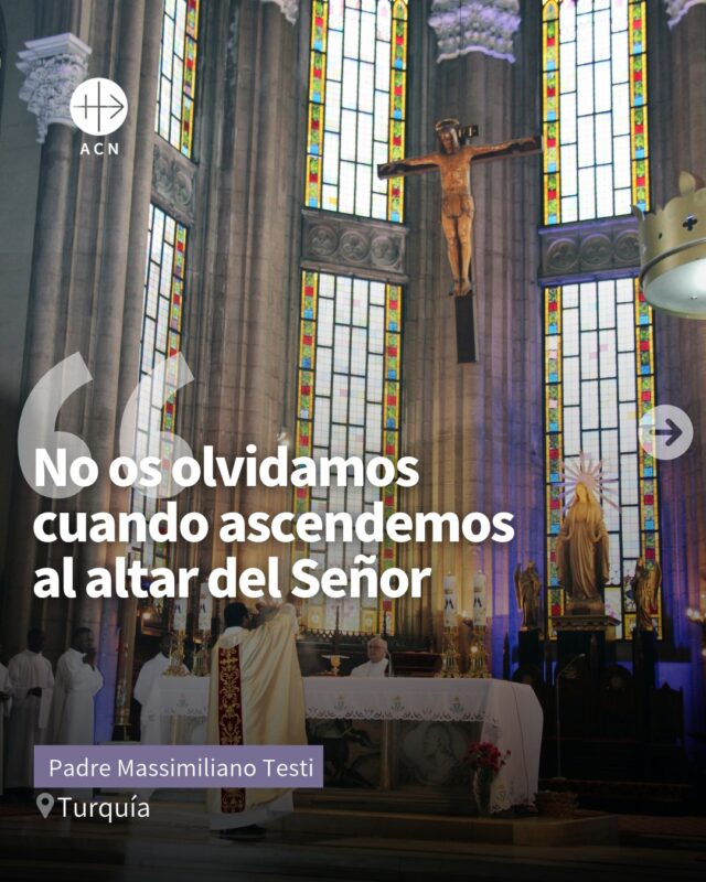 En Turquía, los estipendios de Misa ayudan a los sacerdotes a sostener su ministerio y a acompañar a los fieles de una Iglesia minoritaria. El padre Massimiliano Testi agradece esta ayuda, que permite a los sacerdotes continuar su misión.
Como él, miles de sacerdotes en países de necesidad necesitan ayuda para sostener su ministerio. ¿Quieres ayudarles?
💬 Comenta "testimonio" y te lo enviamos.