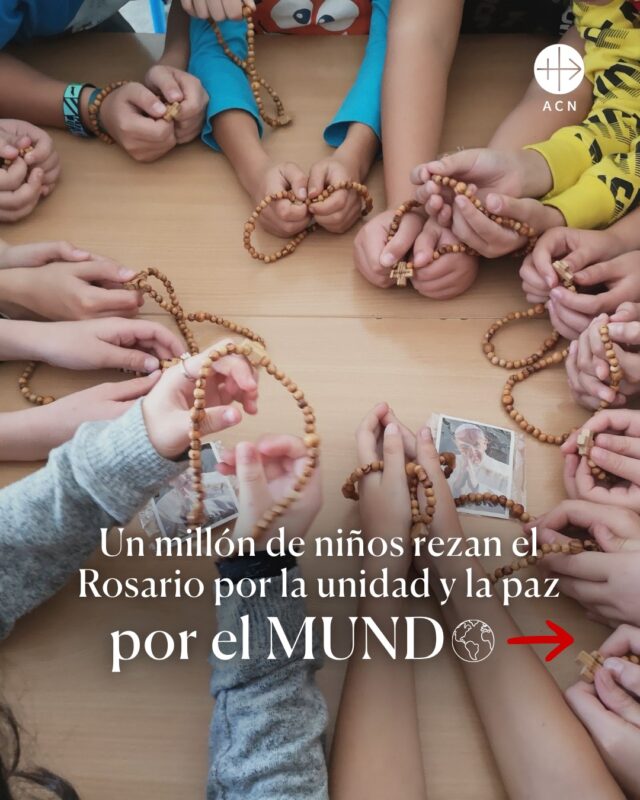 ¿Puede la oración de un niño cambiar el mundo? ❤️El próximo 1 de octubre, un millón de niños de los cinco continentes se unirán para rezar el rosario por la paz y la unidad. 🌍✨Desde sus colegios, parroquias y familias, pondrán sus oraciones en manos de la Virgen, especialmente por los países marcados por la guerra y la violencia.«Cuando un millón de niños recen el Rosario, el mundo cambiará», decía el padre Pío.
👉 Comenta «Rosario» y te mandaremos por mensaje privado el enlace el material para rezar.