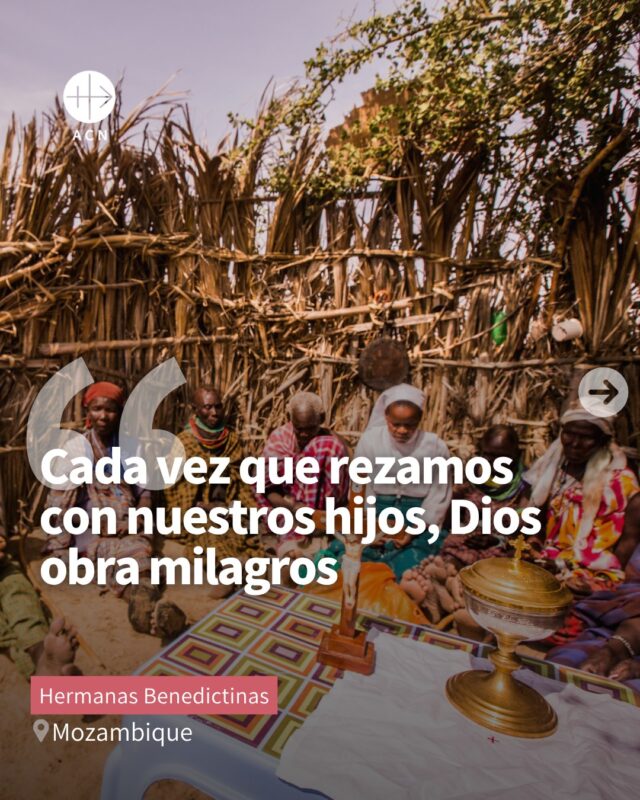 La violencia les obligó a huir, pero ellas decidieron permanecer. 🙏❤️En el norte de Mozambique, las hermanas tuvieron que dejar atrás su comunidad junto a varios niños huérfanos a los que cuidaban.Hoy, en Pemba, continúan acogiendo y acompañando a niños y familias que han huido de la violencia. Con su presencia, su cuidado y su oración, siguen haciendo presente el amor de Dios entre quienes más sufren. ✝️Ellas han decidido permanecer. Tú puedes ayudar a sostener su misión. 🤍👉 Comenta «Testimonio» y te mandaremos por mensaje privado la historia completa.