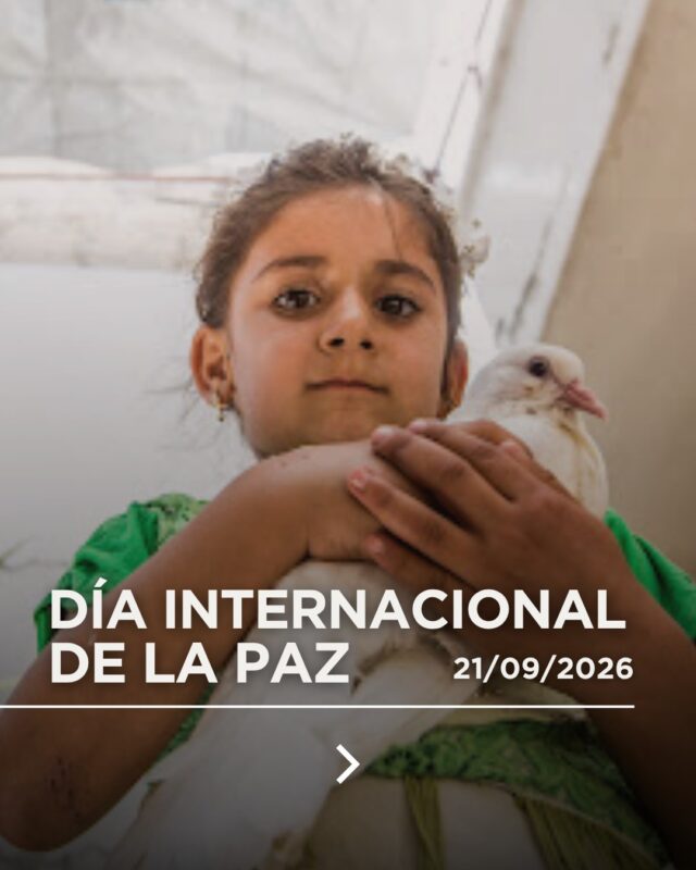 🌍✝️ Hoy, Día Internacional de la Paz, ponemos en manos de Dios a quienes viven en medio de la guerra, la violencia y la persecución.🙏 Allí donde falta la paz, la Iglesia permanece junto a quienes más sufren, llevando consuelo, acompañamiento y esperanza.❤️Únete en oración por la paz 🕊️y reza por nuestros hermanos que viven situaciones de conflicto y persecución:👉 Comenta "Paz" para que te mandemos la oración por la paz en el mundo.